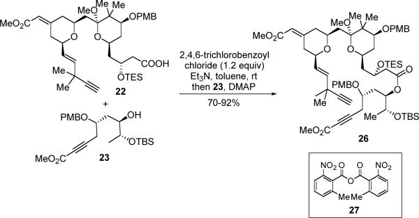 Scheme 8