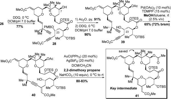 Scheme 13