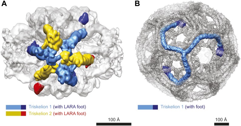 Figure 2—figure supplement 5.