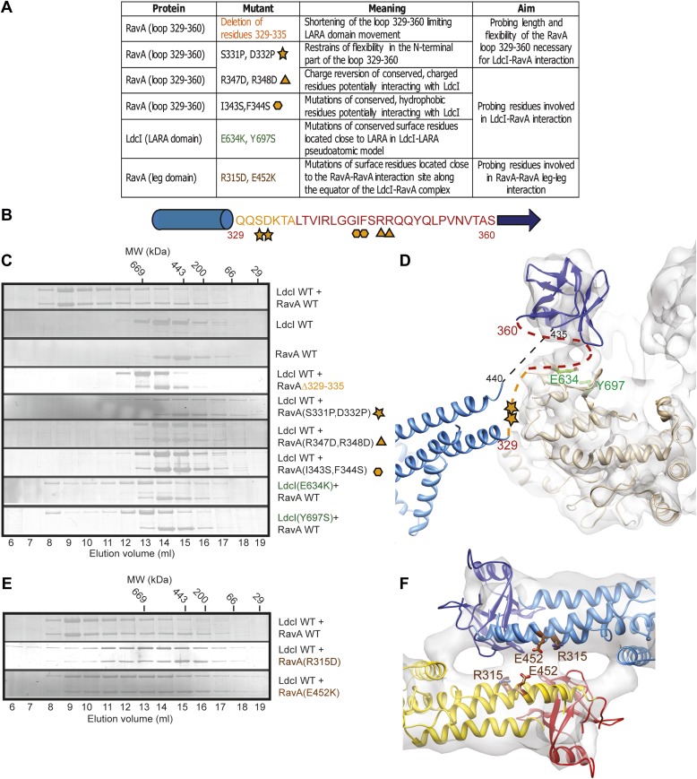 Figure 2—figure supplement 4.