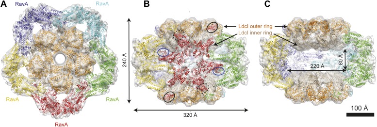 Figure 1.