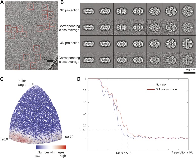 Figure 2—figure supplement 2.