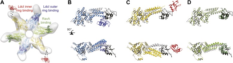 Figure 2—figure supplement 1.