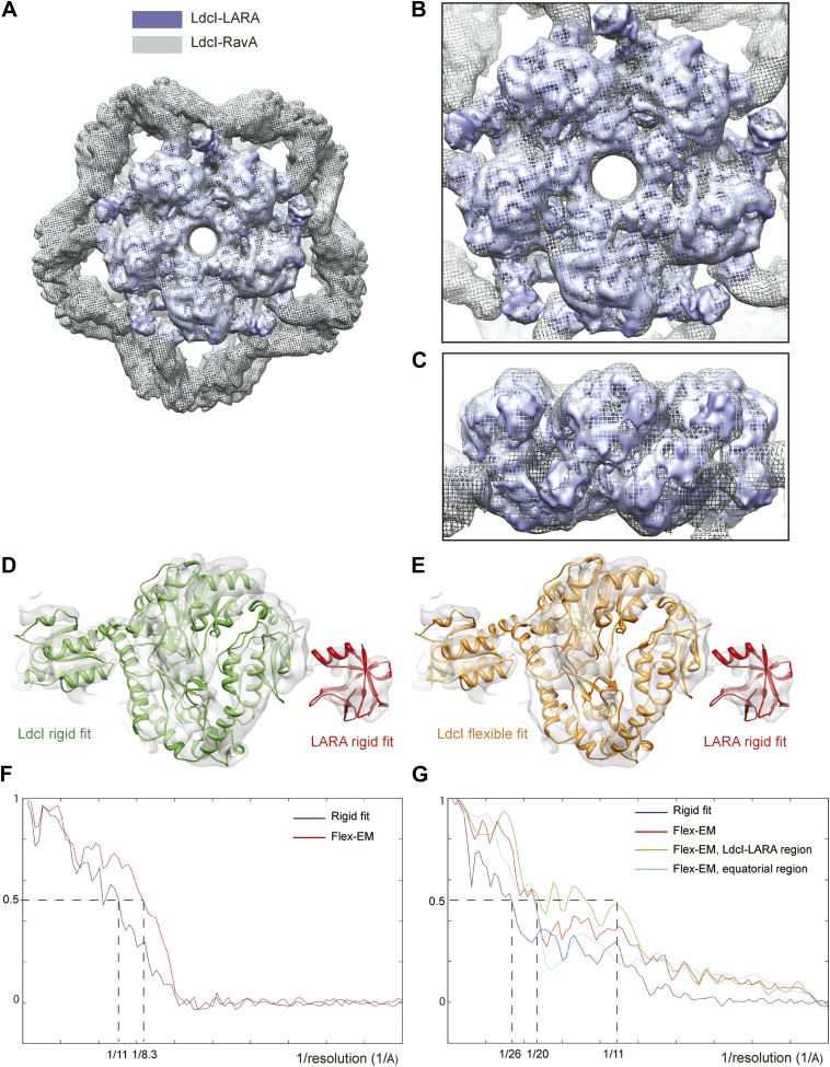 Figure 2—figure supplement 3.