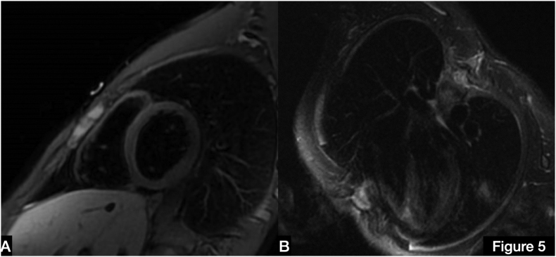 Online Fig. 2