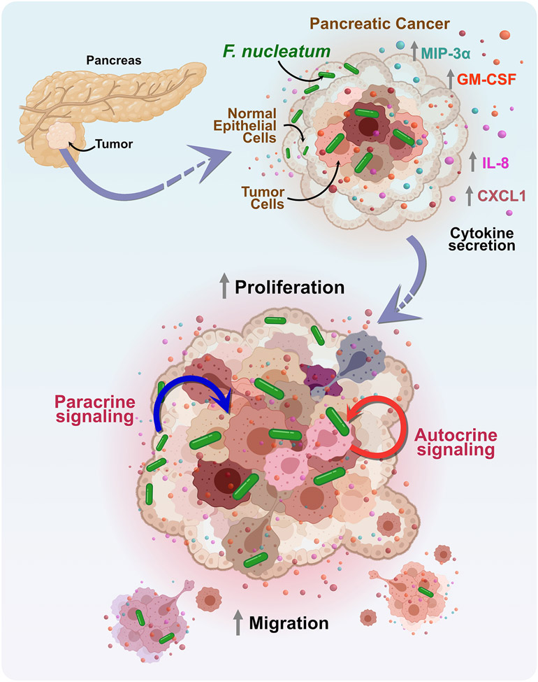 Figure 7: