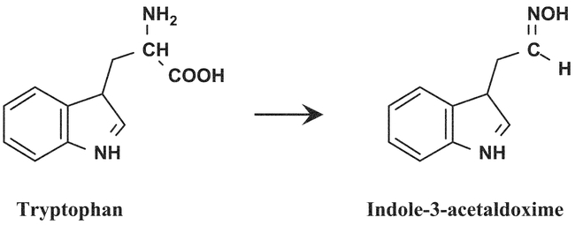 Figure 15. 