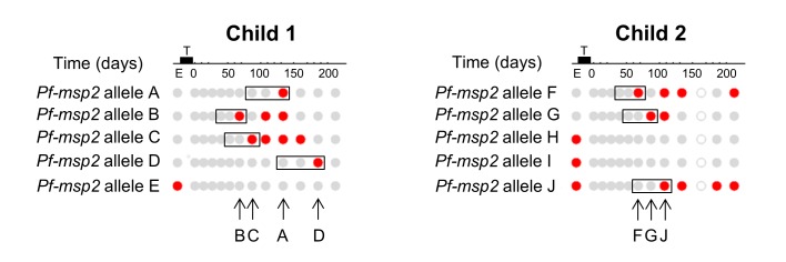 Figure 1—figure supplement 1.