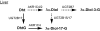 SCHEME 3.