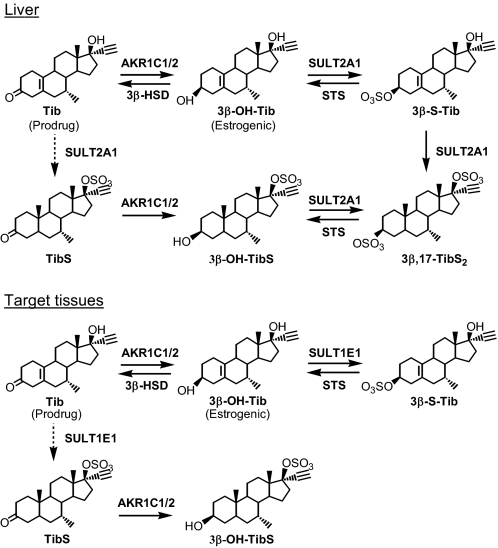 SCHEME 5.