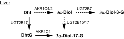 SCHEME 3.