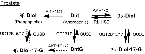 SCHEME 4.