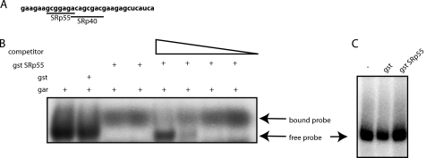 FIGURE 8.