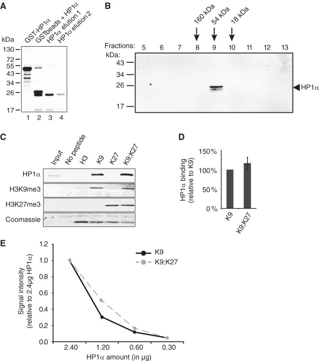 FIG 6