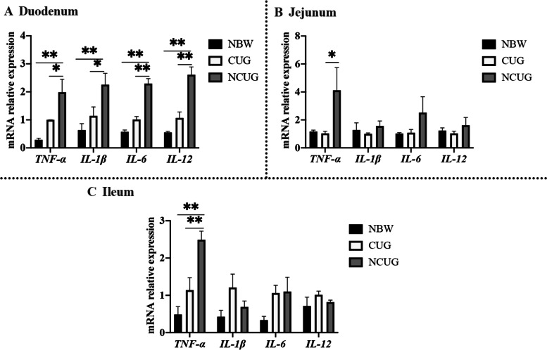 Fig. 6