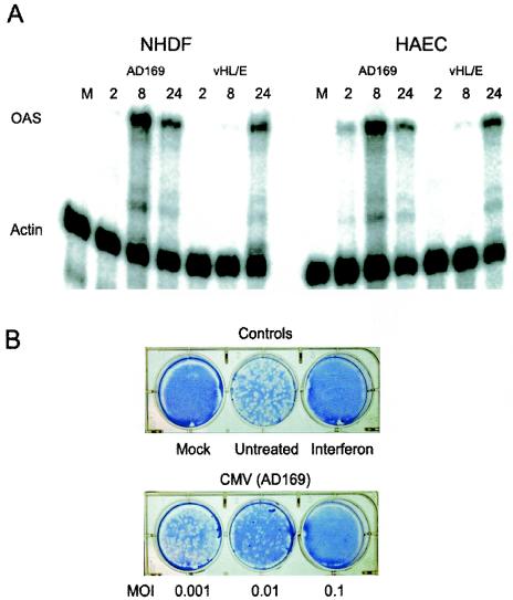 FIG. 6.