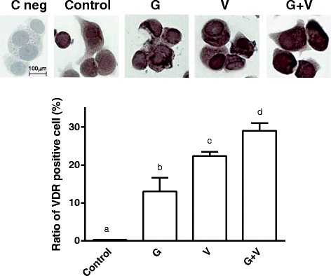 Fig. 6