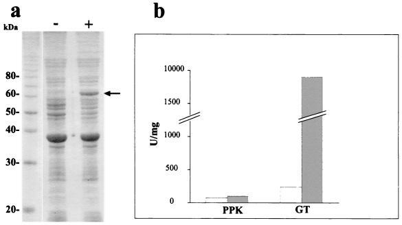 FIG. 5