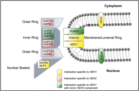 FIGURE 4: