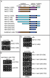 FIGURE 5: