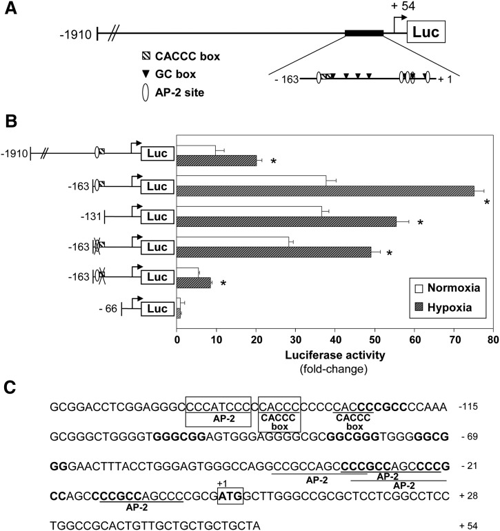 Fig.8.