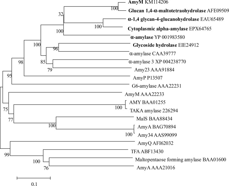 FIG 3