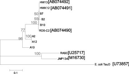 FIG. 6.