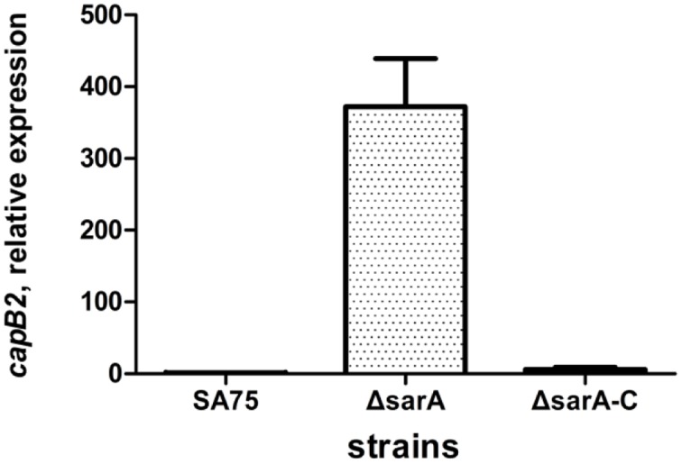 FIGURE 5