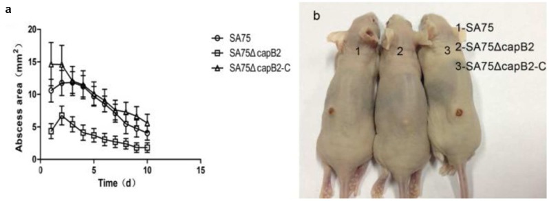 FIGURE 3