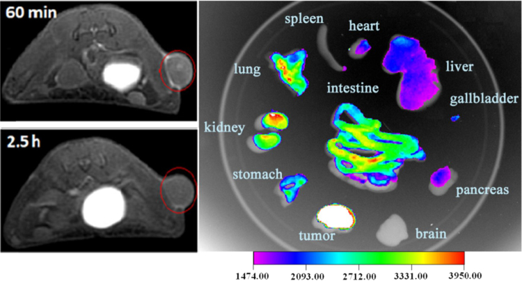 Fig. 6