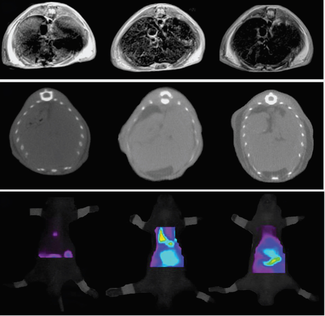 Fig. 11