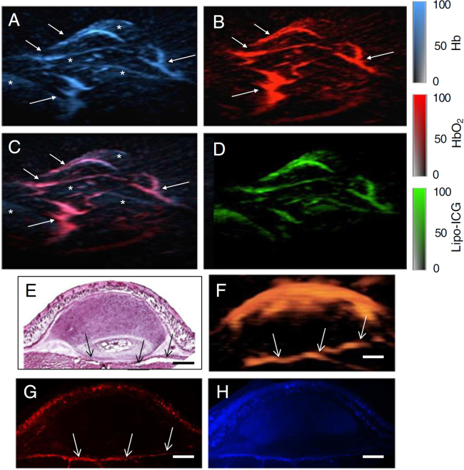 Fig. 17