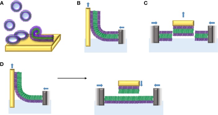 Figure 12