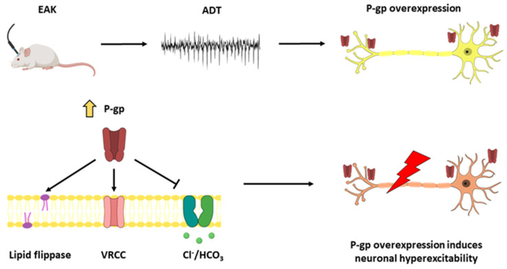 Figure 6