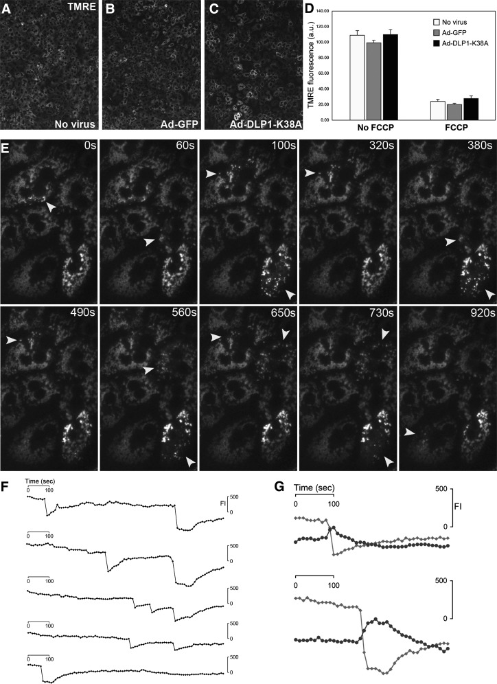 FIG. 4.