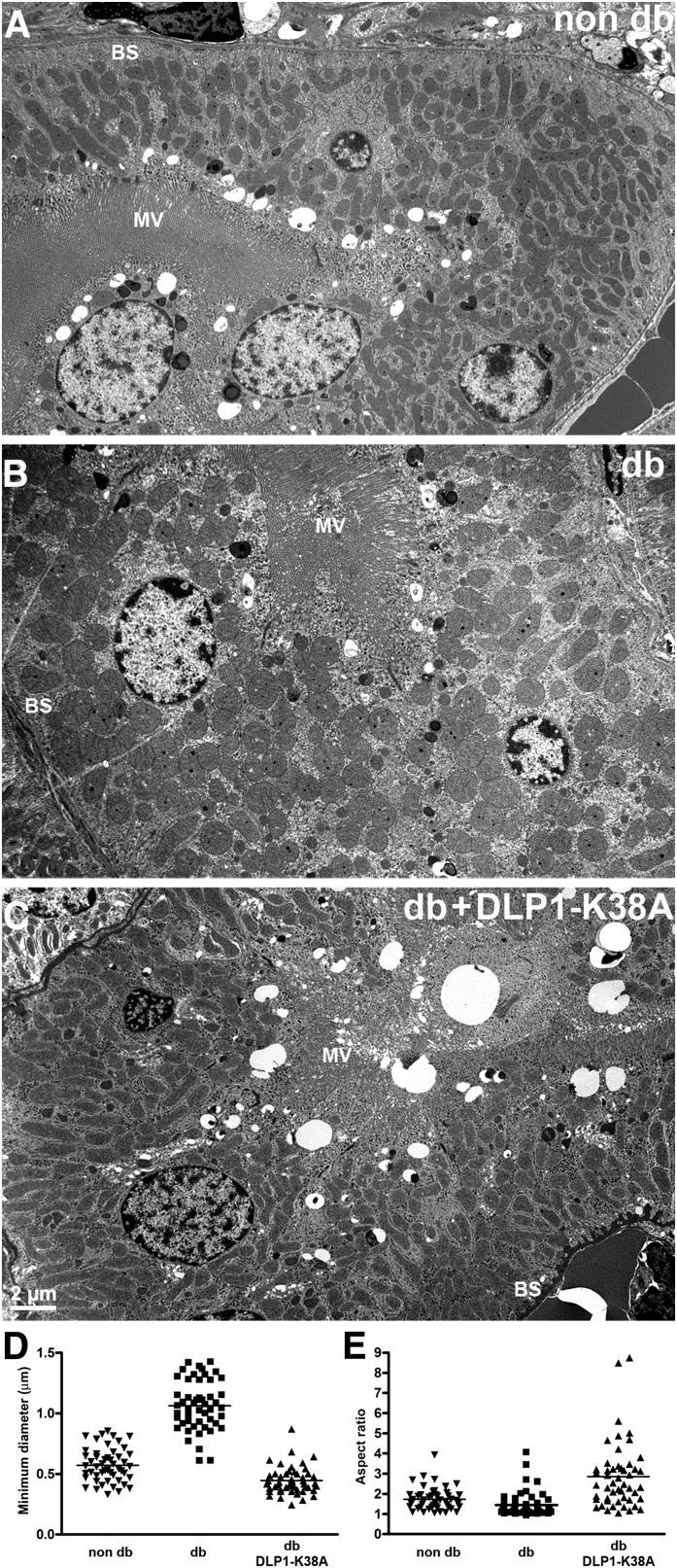 FIG. 7.