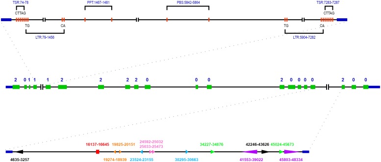 FIGURE 2