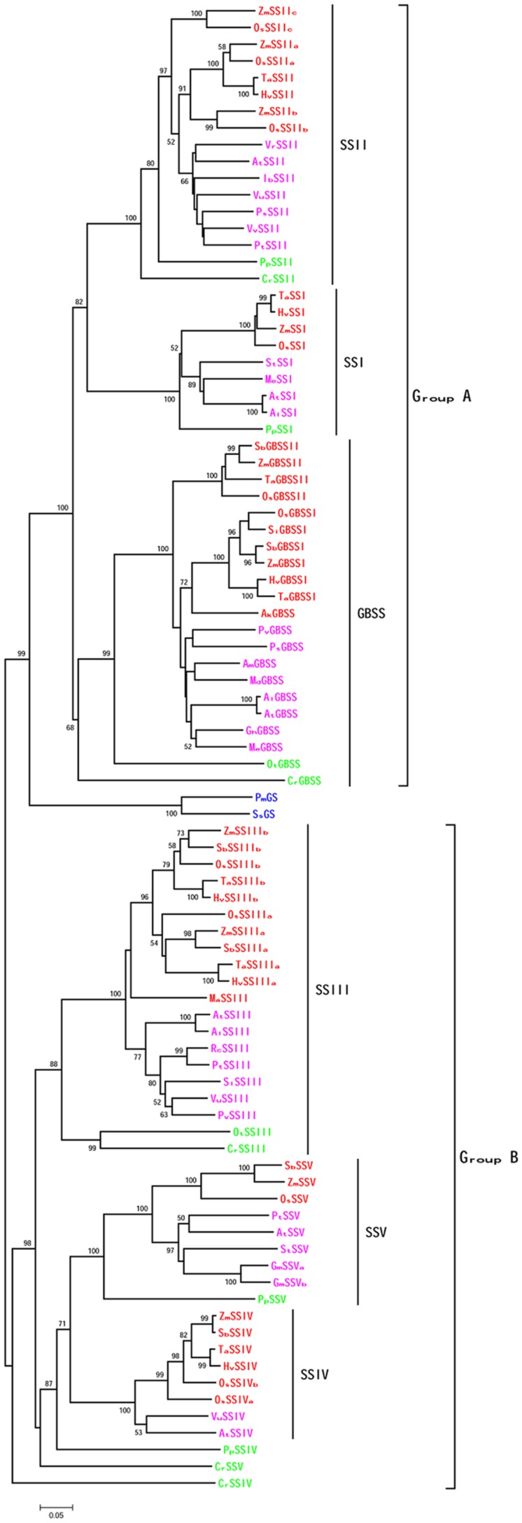 FIGURE 3