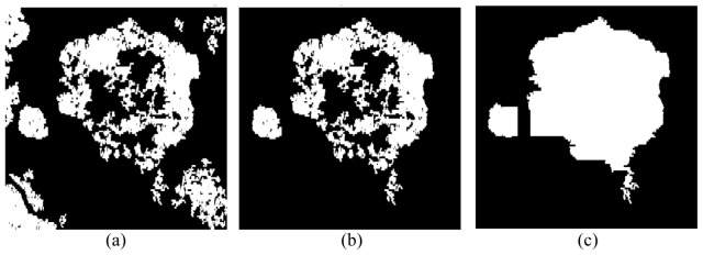 Fig. 5