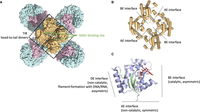 Figure 2.