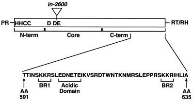 FIG. 7