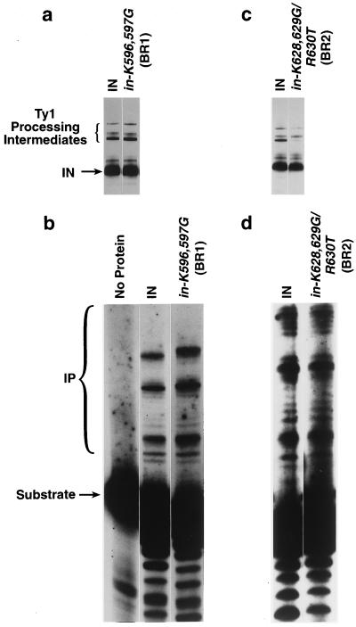 FIG. 6