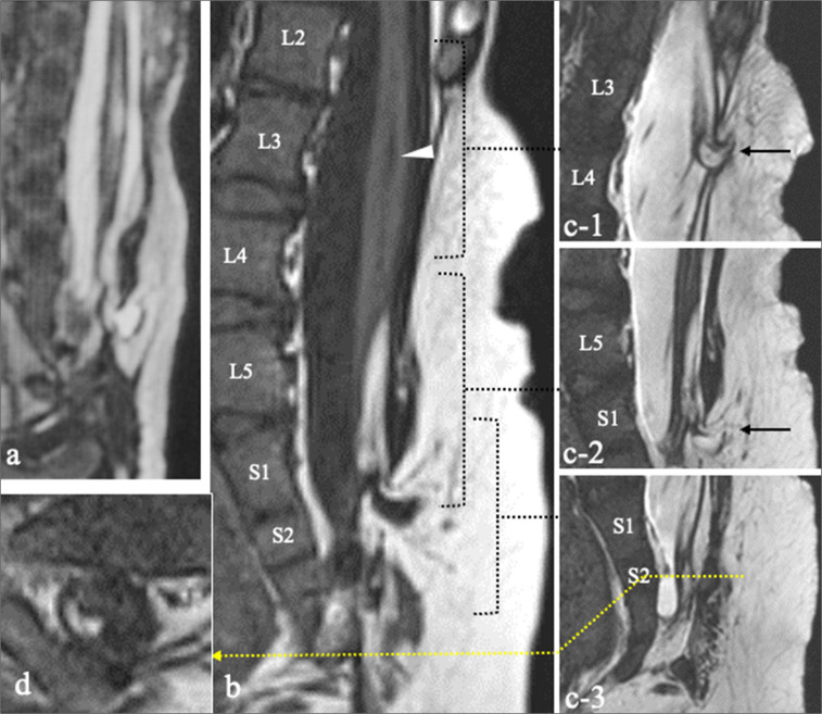 Figure 4: