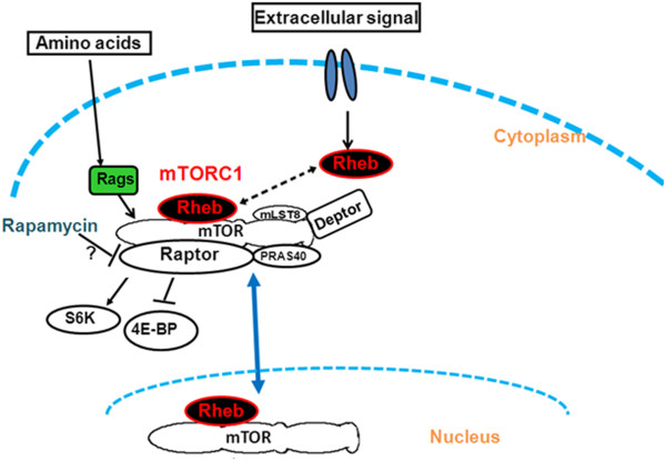 Figure 14