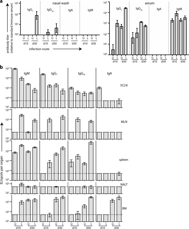 FIG 3