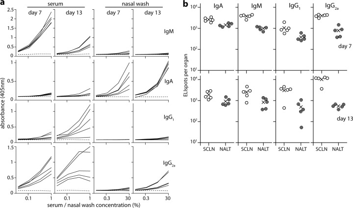 FIG 6