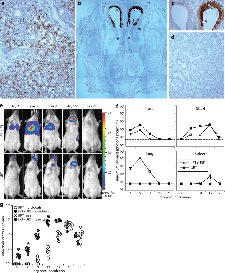 FIG 2