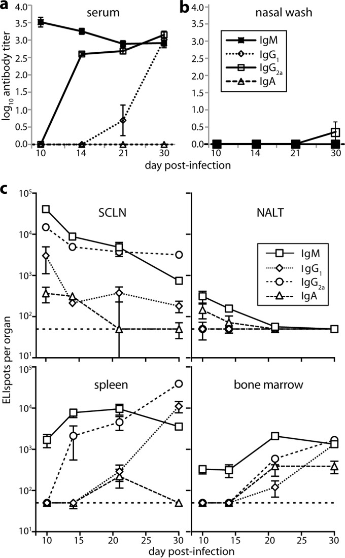 FIG 1