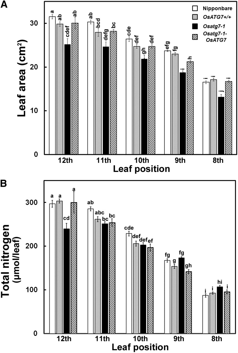 Figure 11.