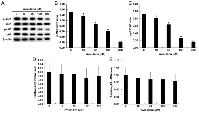 Figure 5.